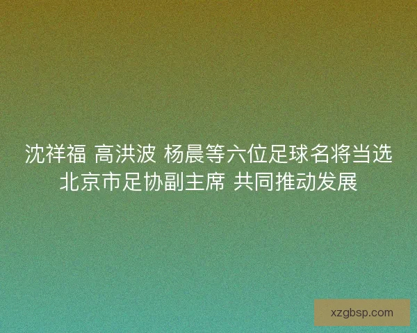 沈祥福 高洪波 杨晨等六位足球名将当选北京市足协副主席 共同推动发展