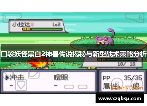 口袋妖怪黑白2神兽传说揭秘与新型战术策略分析