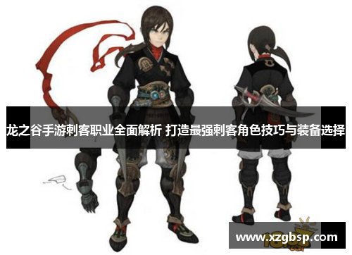 龙之谷手游刺客职业全面解析 打造最强刺客角色技巧与装备选择